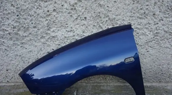 Seat Ibiza III (6L) Fender