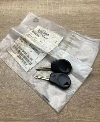 Citroen Saxo Ignition key/card 9170L8