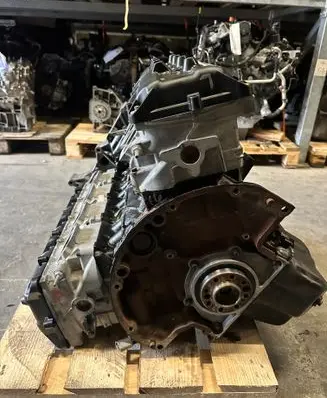 Dodge Charger Engine swap TNXE