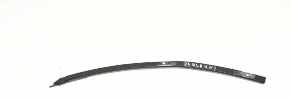 Volkswagen PASSAT B7 Rear door windshield rail 3c9839965