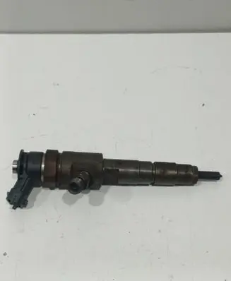 Citroen C3 Fuel injector 870692 044517 FE1E1