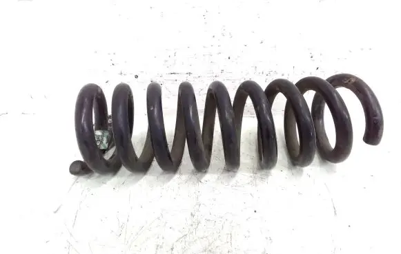 Chrysler 300 - 300C Rear coil spring 04895314AC