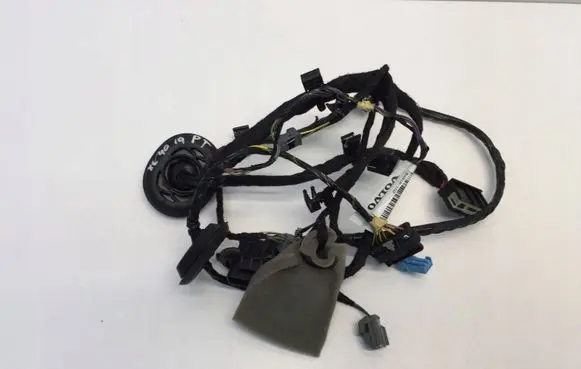 Rear door wiring loom