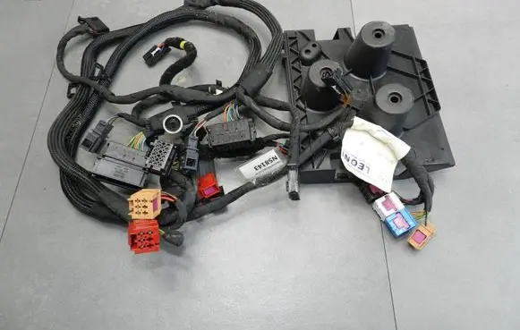 Volkswagen Phaeton Other wiring loom 3D0971311K