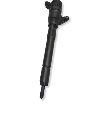 Hyundai Santa Fe Fuel injector 0445110254 3380027800