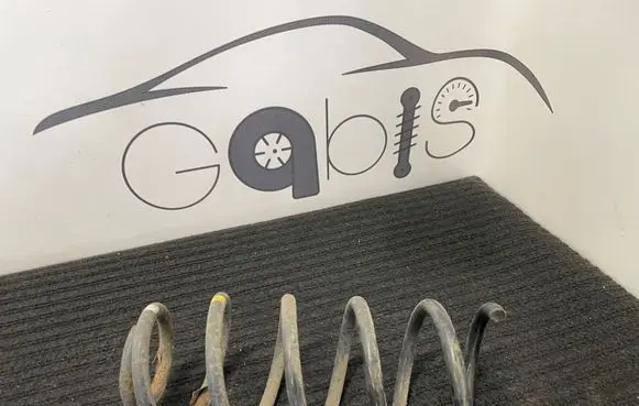 Smart ForTwo I Rear coil spring