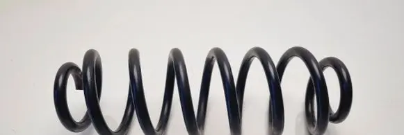 Volkswagen PASSAT B6 Rear coil spring