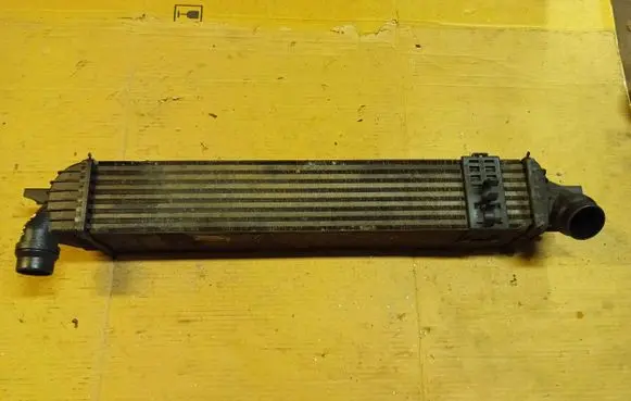 Renault Laguna III Intercooler radiator 144960001r