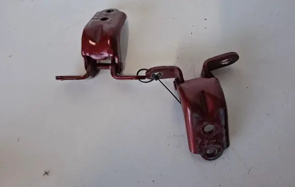 KIA Sportage Front door lower hinge 