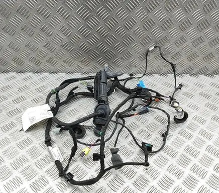 Skoda Enyaq iV Front door wiring loom 5LB971121AA