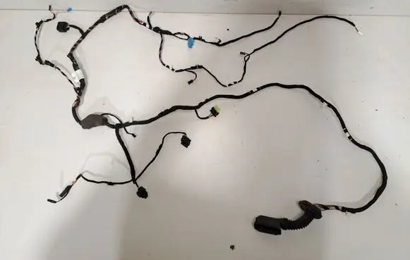 Other wiring loom