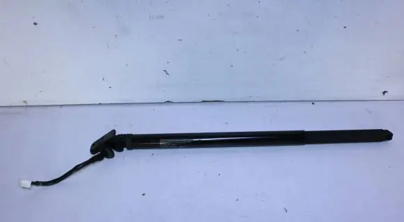 Nissan Ariya Tailgate/trunk/boot lift motor 905605MP0A 20220110A 3060587