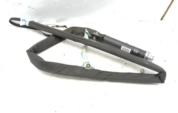 Renault Avantime Roof airbag 6025409350