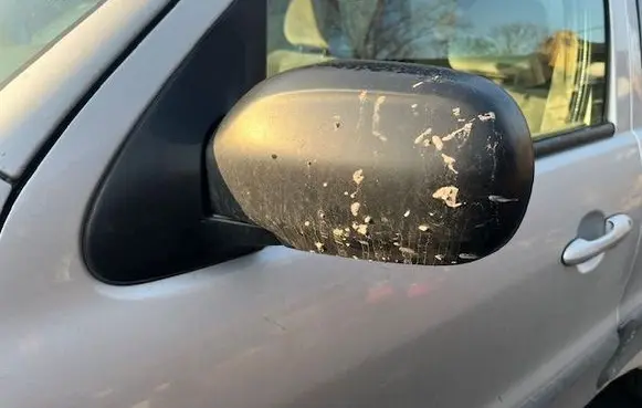 Mazda Tribute Manual wing mirror 