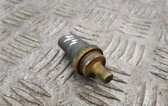 Porsche Panamera (970) Coolant temperature sensor 06A919501A