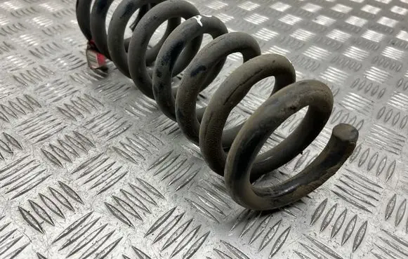 Dodge Charger Rear coil spring 