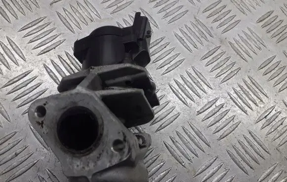 Citroen Berlingo EGR valve EN48000