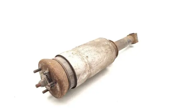 Land Rover Range Rover Sport L320 Air suspension front shock absorber RNB501220 22238305
