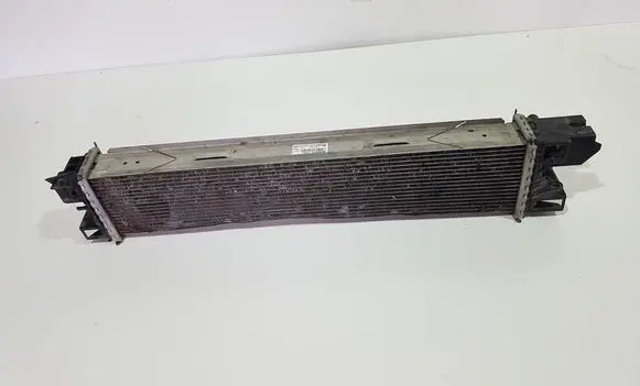 Renault Trafic III (X82) Intercooler radiator