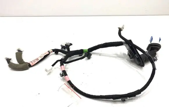 Front door wiring loom