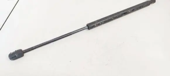 Hyundai Santa Fe Front bonnet/hood damper/strut
