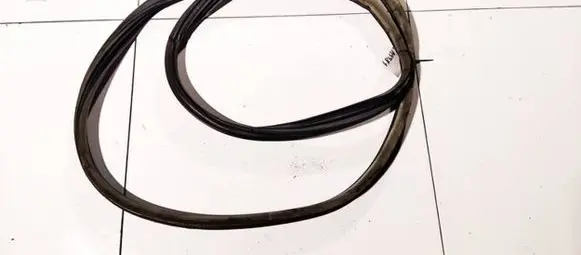 Renault Laguna II Rubber seal front coupe door 