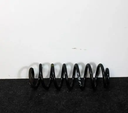 Volkswagen PASSAT B6 Rear coil spring