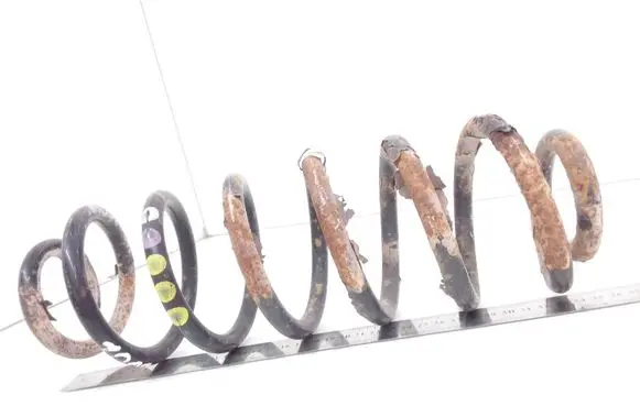 Volkswagen PASSAT B6 Rear coil spring