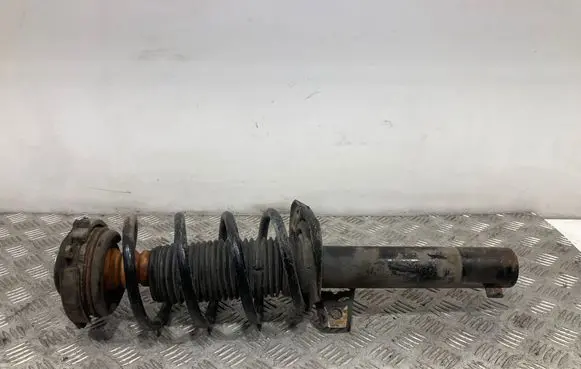 Volkswagen Tiguan Front shock absorber/damper 5N0413031K
