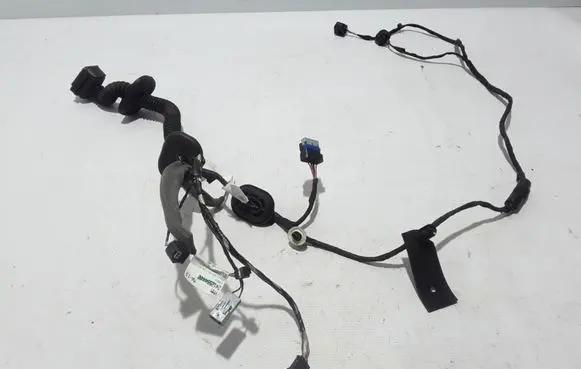Renault Scenic IV - Grand scenic IV Other wiring loom 241255444R