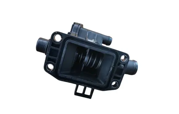 Thermostat/thermostat housing