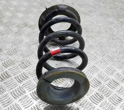 Tesla Model Y Rear coil spring 118847900A