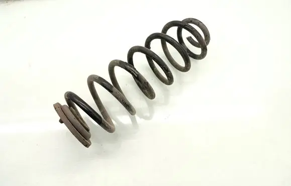 Volkswagen Tiguan Rear coil spring 