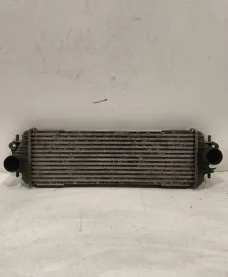 Renault Trafic II (X83) Intercooler radiator 7700312903 91166035