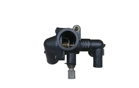 Thermostat/thermostat housing