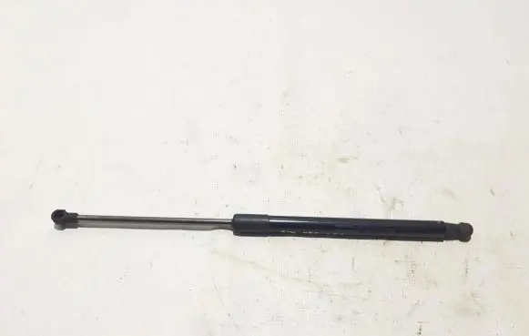 Tailgate strut