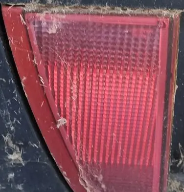 Nissan Primera Rear fog light melyna