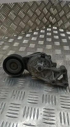 Seat Alhambra (Mk1) Generator/alternator belt tensioner 950372
