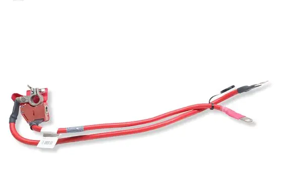 BMW 1 F20 F21 Positive cable (battery) 9253111