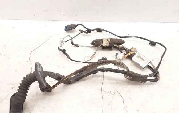 Renault Espace - Grand espace IV Rear door wiring loom 8200517597