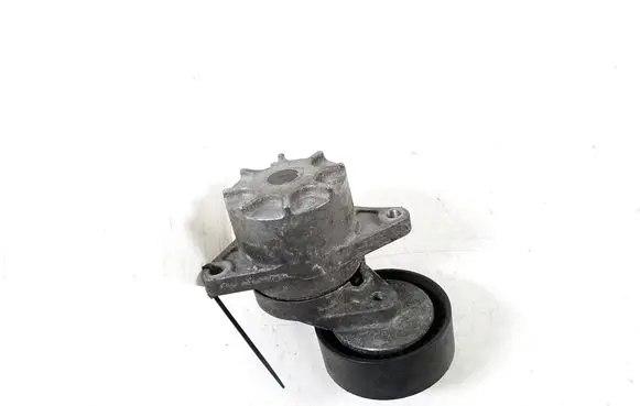 Mercedes-Benz S W220 Timing belt/chain tensioner A6462000270