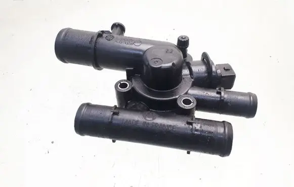 Thermostat/thermostat housing