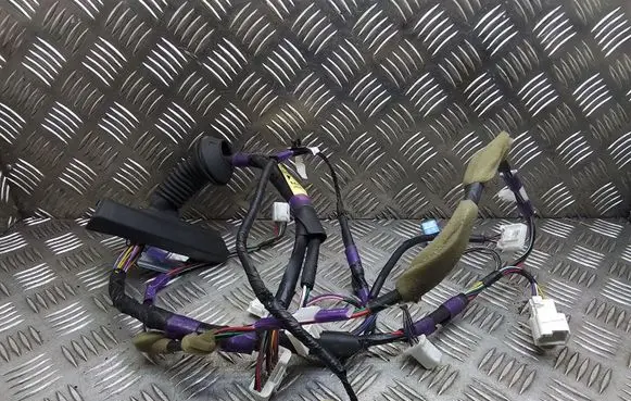 Front door wiring loom
