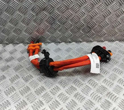 Audi E-tron GT Other wiring loom 9J1971015B