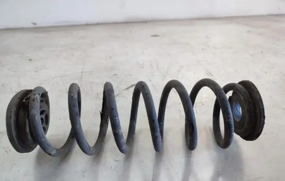 Volkswagen Tiguan Rear coil spring