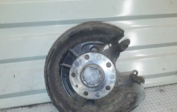 Volkswagen Golf VI Rear wheel hub spindle/knuckle 