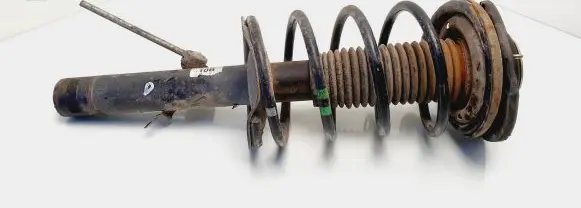 Peugeot 206 Front shock absorber with coil spring