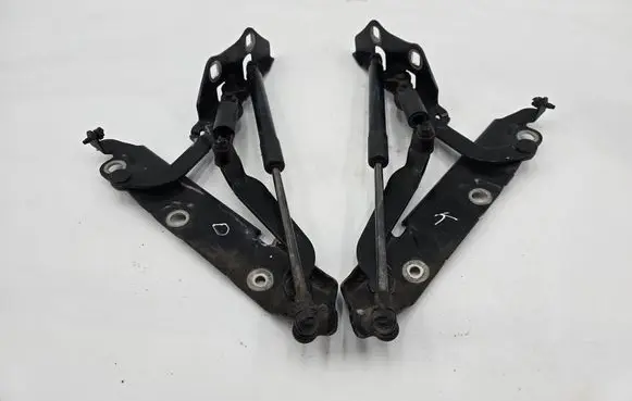 Jaguar XF X250 Loading door hinge set 