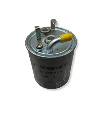 Jeep Grand Cherokee (WJ) Fuel filter B3Y009PR