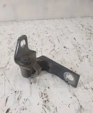 Front door lower hinge